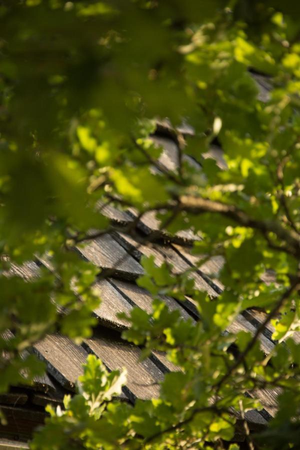 Le Bois De Faral Hotel Le Bastit ภายนอก รูปภาพ