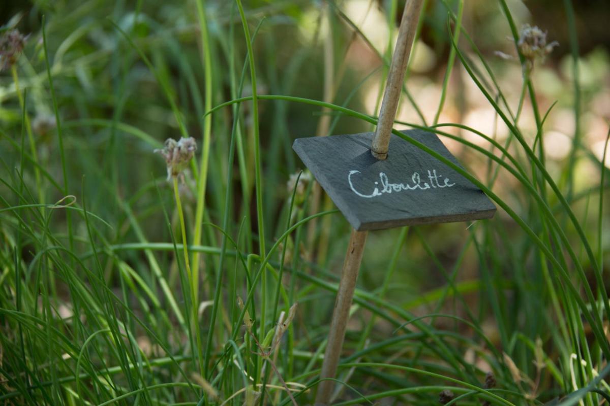 Le Bois De Faral Hotel Le Bastit ภายนอก รูปภาพ